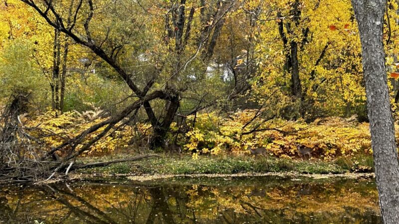 Queen City Trail - Titusville, PA