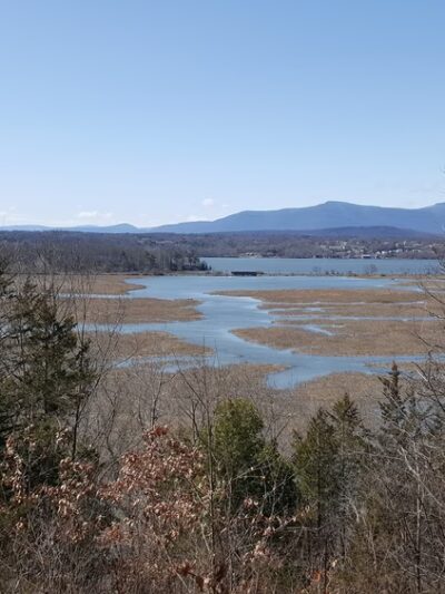 Tivoli Bays - Tivoli, NY