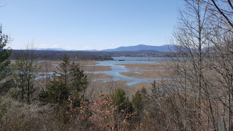 Tivoli Bays - Tivoli, NY