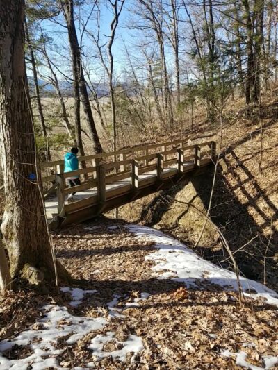 Tivoli Bays - Tivoli, NY