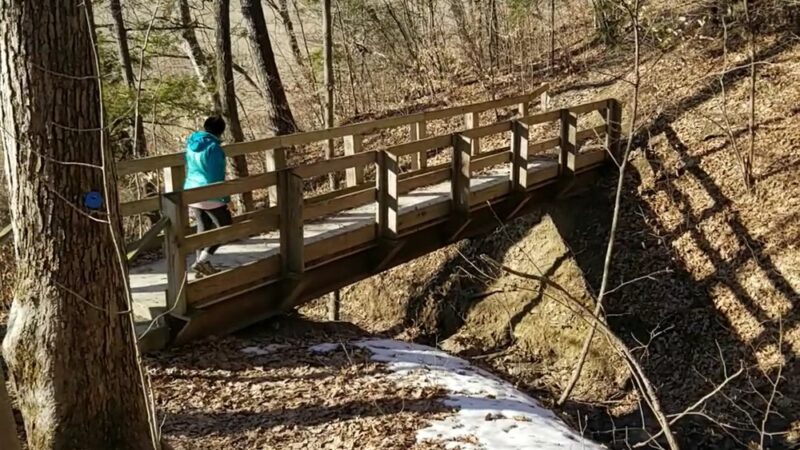 Tivoli Bays - Tivoli, NY