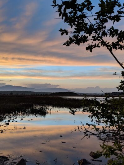 Tivoli Bays - Tivoli, NY