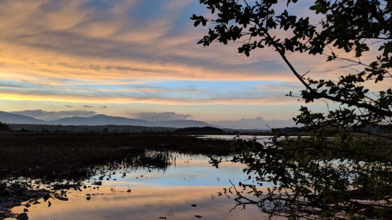 Tivoli Bays - Tivoli, NY