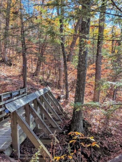 Tivoli Bays - Tivoli, NY