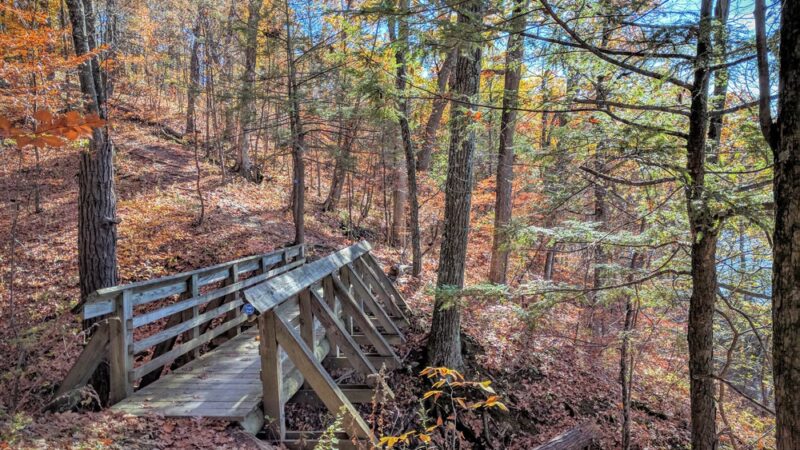 Tivoli Bays - Tivoli, NY