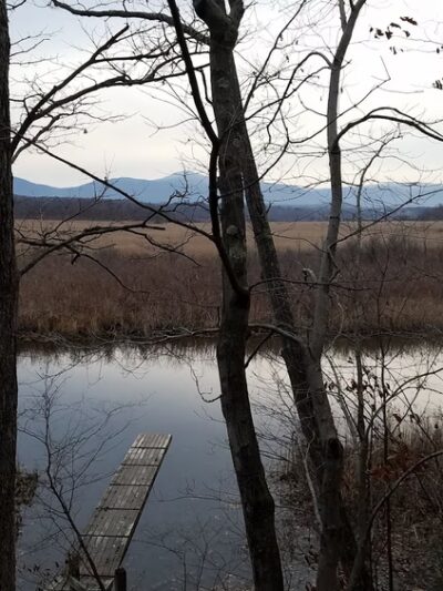 Tivoli Bays - Tivoli, NY