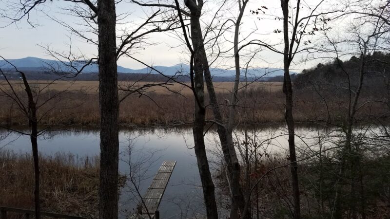 Tivoli Bays - Tivoli, NY