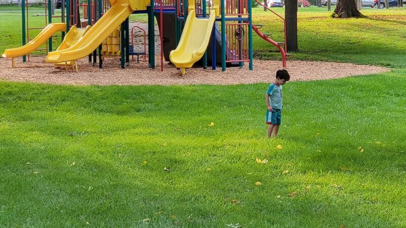 Tolono West Side Park - Tolono, IL