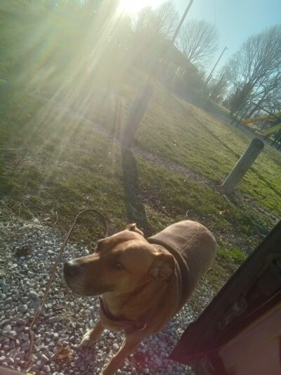 Tolono West Side Park - Tolono, IL