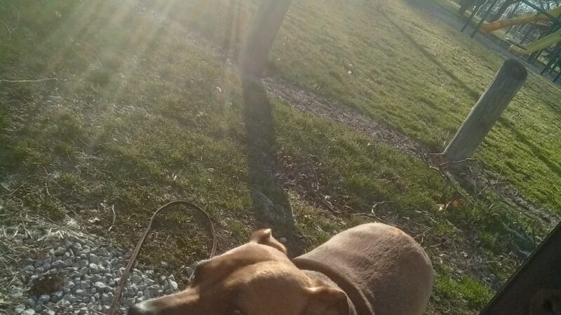 Tolono West Side Park - Tolono, IL