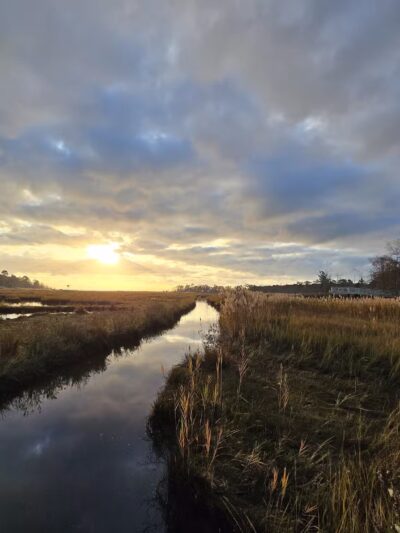 Cattus Island County Park Parking Lot - Toms River, NJ