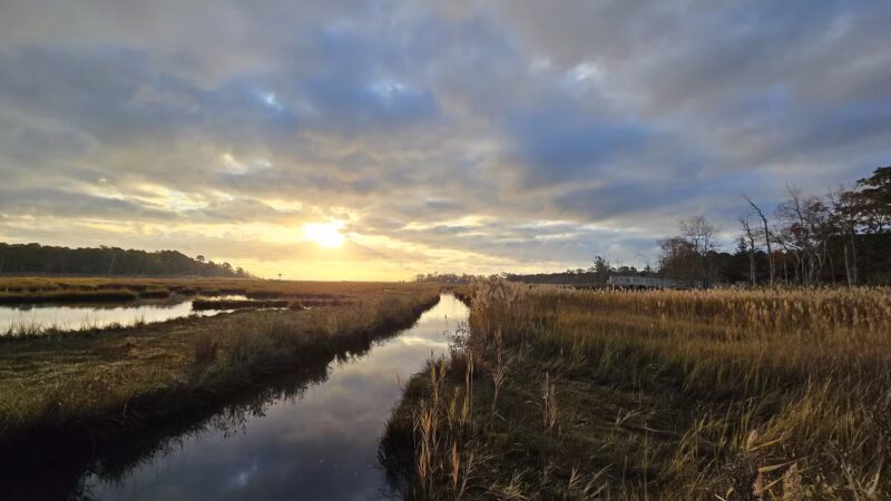 Cattus Island County Park Parking Lot - Toms River, NJ