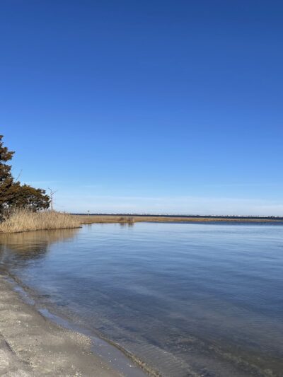 Shelter Cove Park - Toms River, NJ