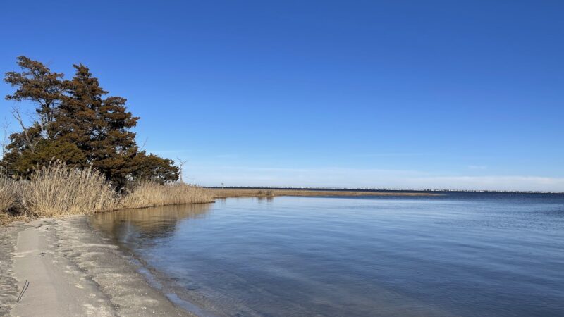 Shelter Cove Park - Toms River, NJ