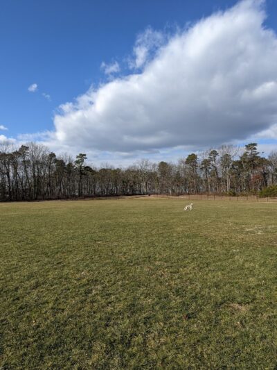 Skyview Park - Toms River, NJ