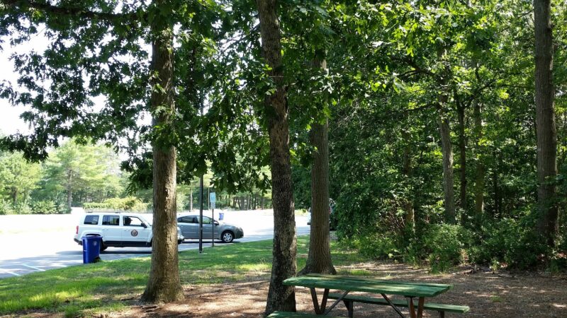 Skyview Park - Toms River, NJ