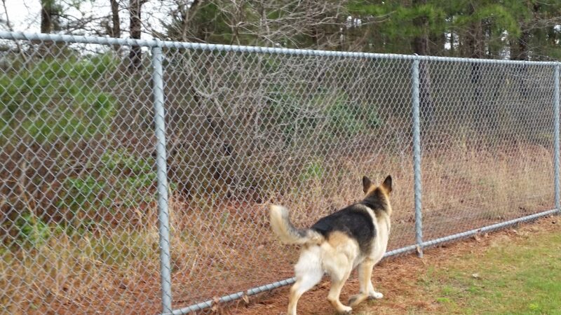 Whispering Pines Park - Toms River, NJ