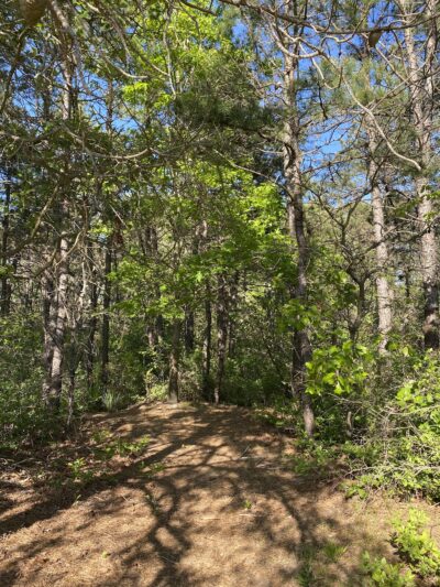 Whispering Pines Park - Toms River, NJ