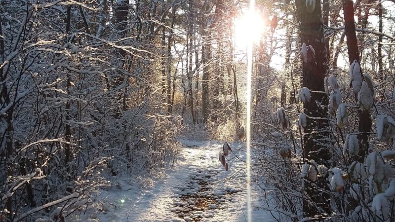 Winding River Park - Toms River, NJ