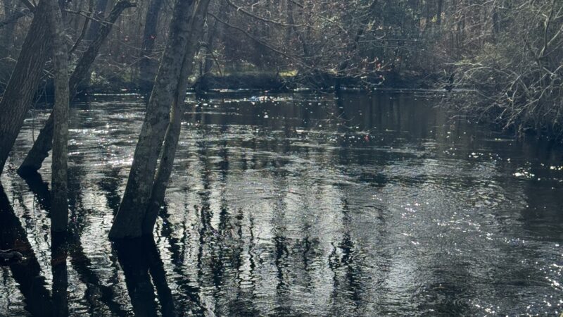 Winding River Park - Toms River, NJ