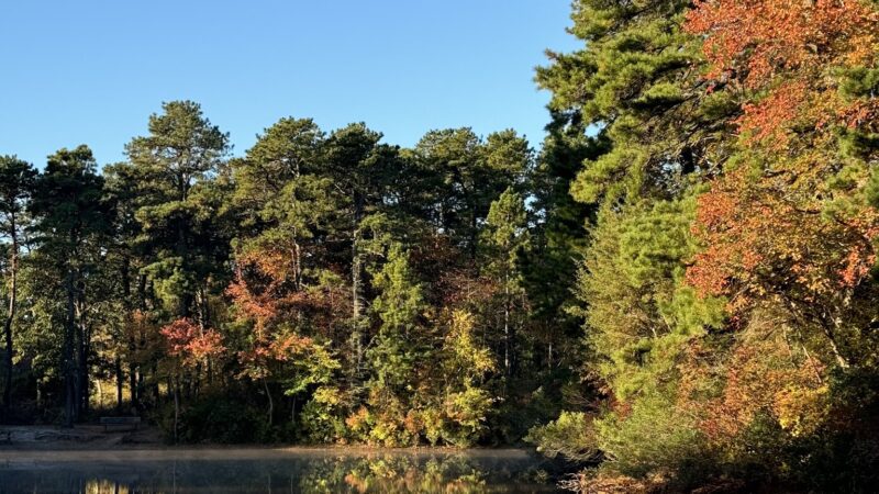 Winding River Park - Toms River, NJ