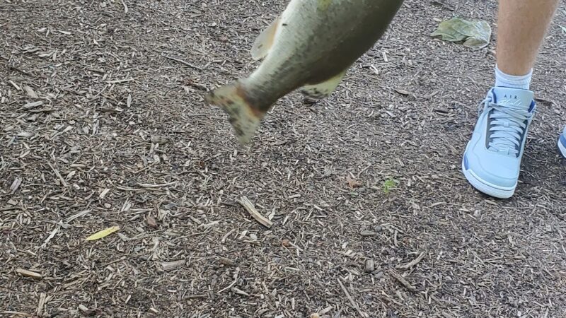 Winding River Park - Toms River, NJ
