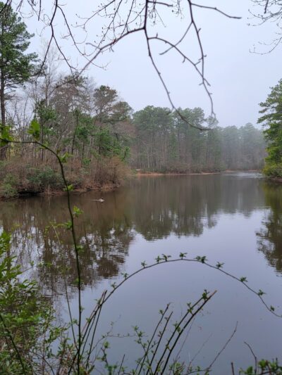 Winding River South Park Picnic Area - Toms River, NJ