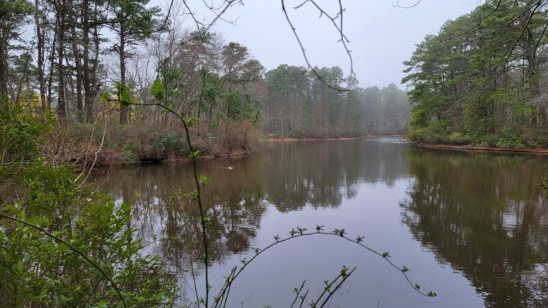 Winding River South Park Picnic Area - Toms River, NJ