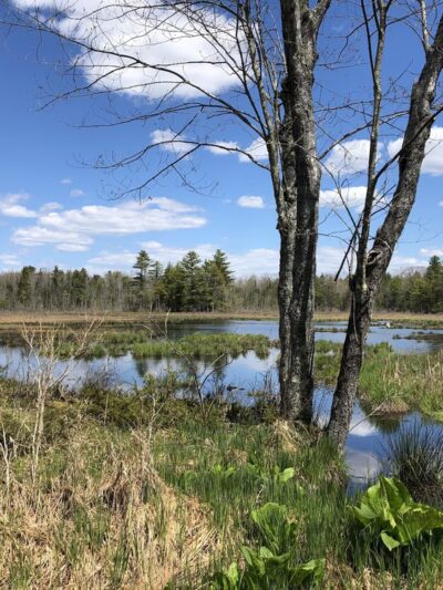 Heath Loop Hiker Parking - Topsham, ME