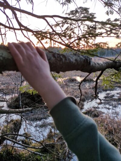 Heath Loop Hiker Parking - Topsham, ME