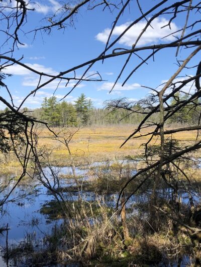 Heath Loop Hiker Parking - Topsham, ME