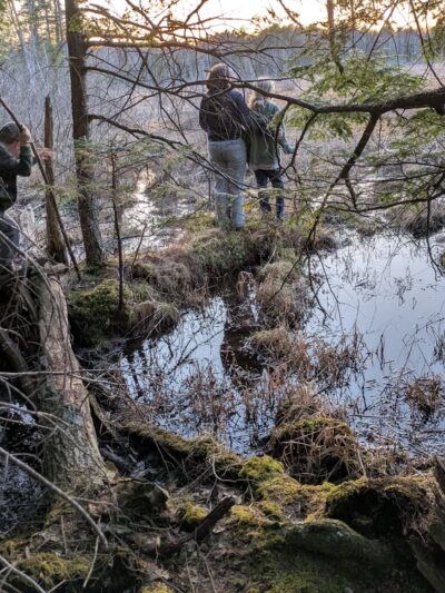 Heath Loop Hiker Parking - Topsham, ME