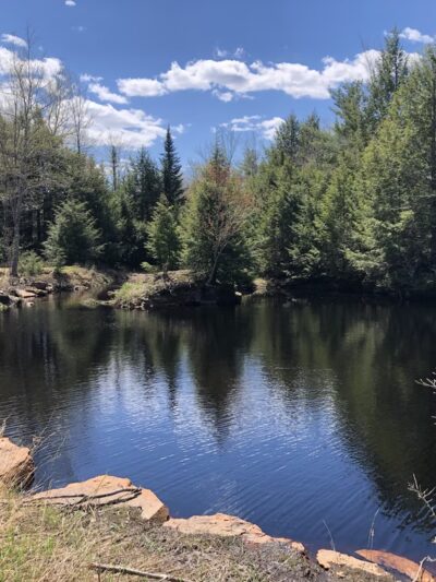 Heath Loop Hiker Parking - Topsham, ME