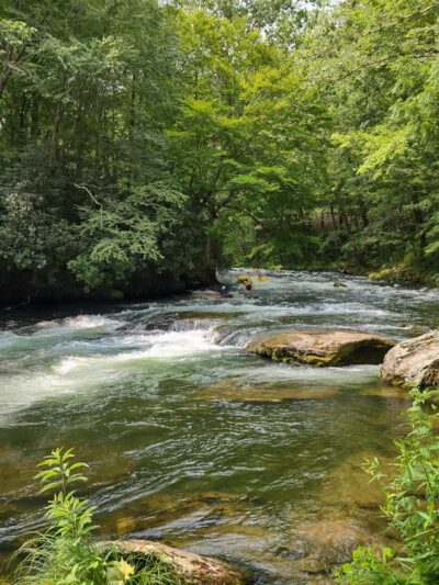 Patton's Run Overlook - Nantahala National Forest - Topton, NC