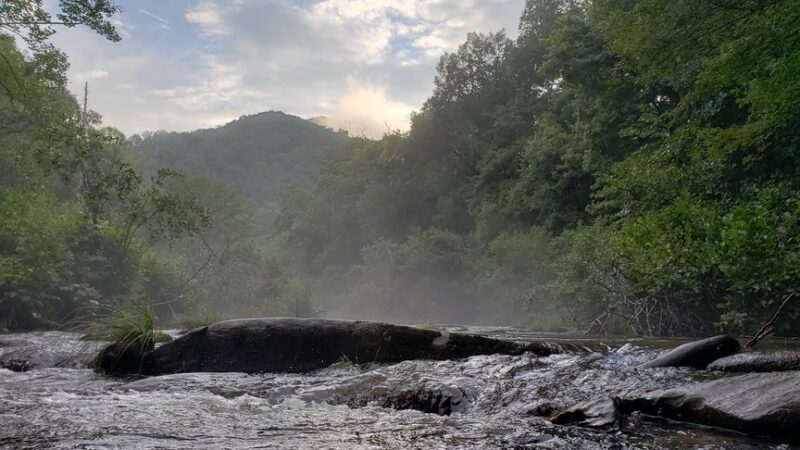 Appletree Group Campground - Topton, NC