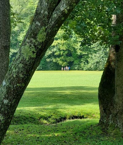 Appletree Group Campground - Topton, NC