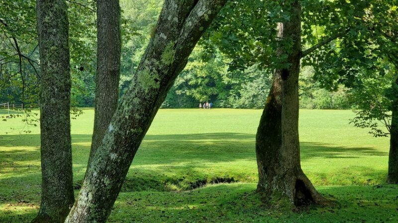 Appletree Group Campground - Topton, NC
