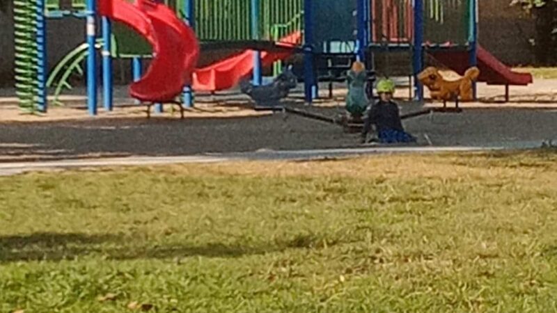 Pequeno Park - Torrance, CA