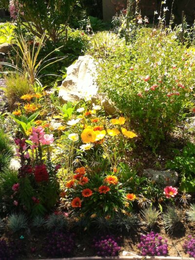 Greenwood Park - Torrance, CA