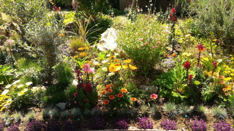 Greenwood Park - Torrance, CA