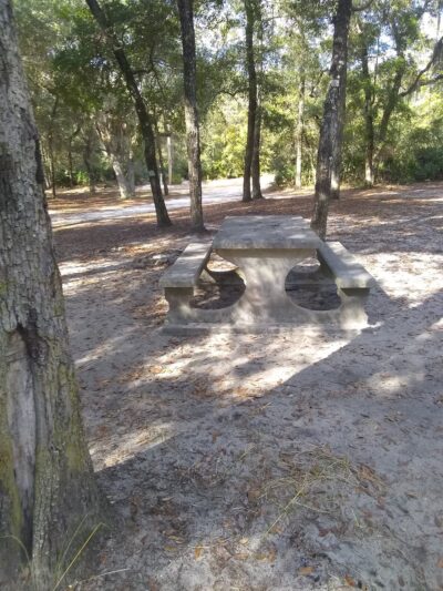 Barrington County Park - Townsend, GA