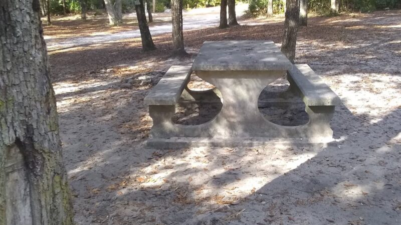 Barrington County Park - Townsend, GA