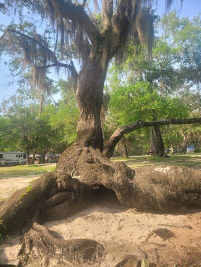 Barrington County Park - Townsend, GA