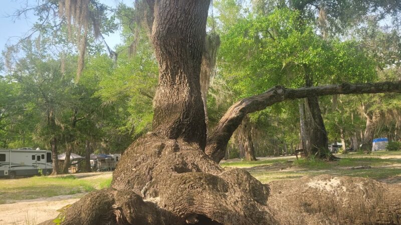 Barrington County Park - Townsend, GA