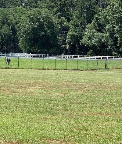 Cat Head Creek RV Park - Townsend, GA