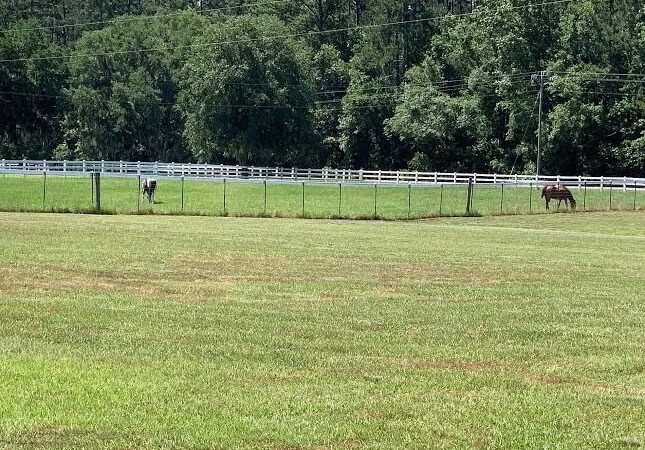 Cat Head Creek RV Park - Townsend, GA