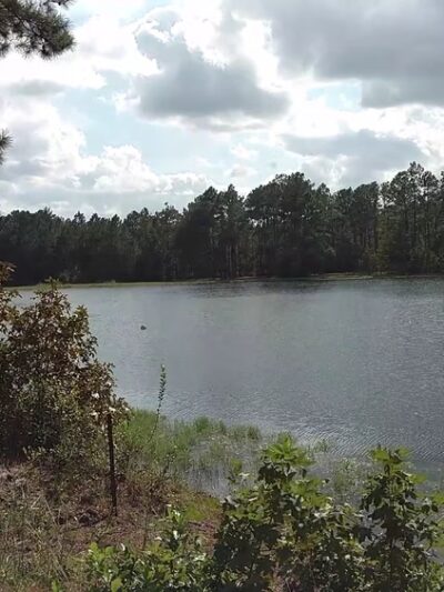 McIntosh Lake RV Park - Townsend, GA