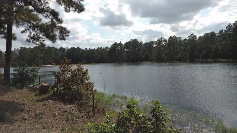 McIntosh Lake RV Park - Townsend, GA