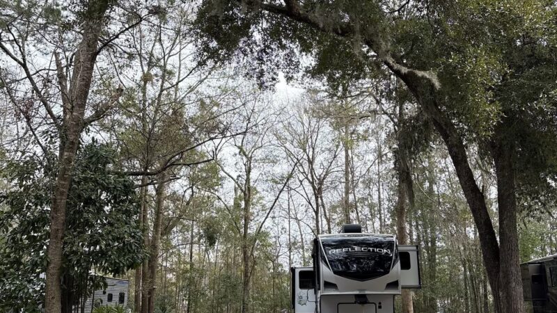 McIntosh Manor RV Park and Retreat - Townsend, GA