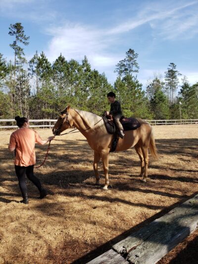 Pine Harbor Animal Hospital - Townsend, GA